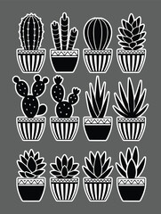 Black potted succulent and cactus plants collection white