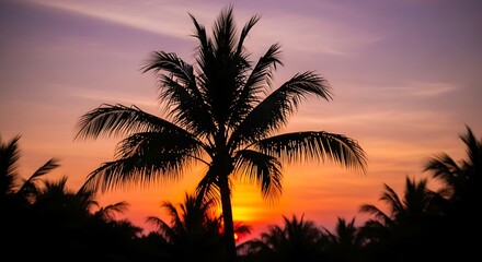 Obraz premium Photo of silhouette of palm trees against a colorful sunset sky