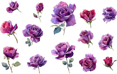 seamless pattern with pink tulips