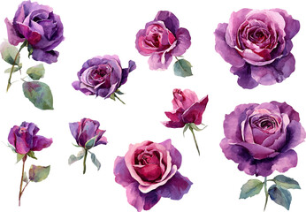 Fototapeta premium bouquet of roses