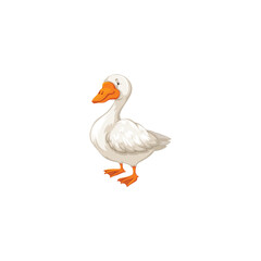 swan