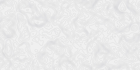  topographic map wave curved lines white background showing elevation changes surface smooth line light wallpaper design.