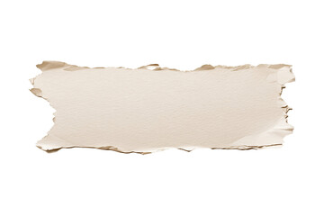 Rough Crumpled Old Paper with Irregular Edges, Brown torn paper 