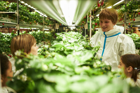 Caucasian teenage boy wearing protective suit explaining hydroponic strawberry cultivation to group of children in indoor vertical farm, surrounded by lush green plants and artificial lighting - Powered by Adobe