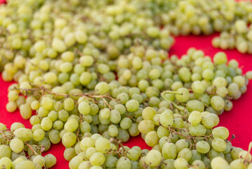 A close-up of freshly harvested green grapes in abundance at a farmer's market, highlighting their natural texture and organic appeal.