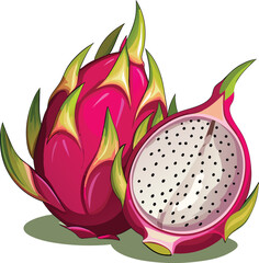Vibrant Dragon Fruit Illustration Whole and Half Pitaya with Detailed Seeds