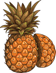 Illustration of a Whole Pineapple and a Half Pineapple on White Background