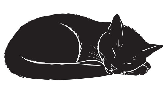 Black cat sleeping curled up, vector illustration in silhouette on white background