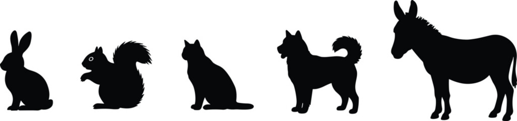 Animal silhouettes in row, rabbit, squirrel, cat, dog, donkey, black shapes, standing posture, wildlife diversity, pet concept, vector illustration