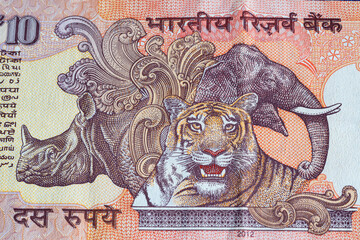 Detail from indian banknote 10 rubiah, reverse of money with wild animals