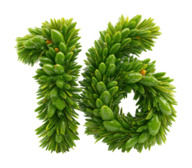 Creative green number 16 made from plants nature scene fresh environment isolated on transparent background