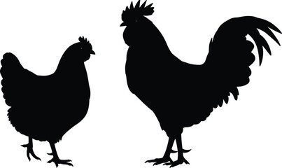 Hen and rooster silhouette, poultry animals, rural farm birds, domestic chicken pair, animal contrast, bird species, farming, agriculture scene