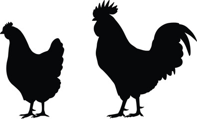 Hen and rooster silhouette, poultry birds, farm animals, domestic chicken pair, bird comparison, rural farming, feather contrast, agriculture concept