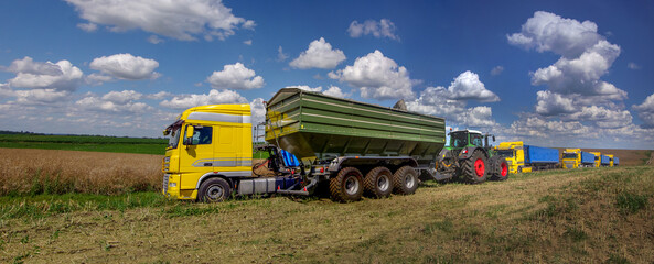 A convoy of trucks, trailer, stands in a field during the rapeseed harvest