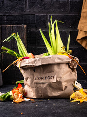 Vegetable waste for making compost. Zero waste concept