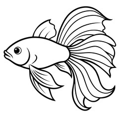 Betta line art vector