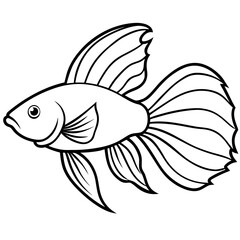 Betta line art vector
