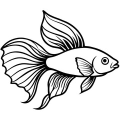 Betta line art vector