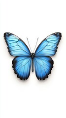 Obraz premium Vibrant Blue Butterfly with Detailed Wings Against a White Background for Creative Projects