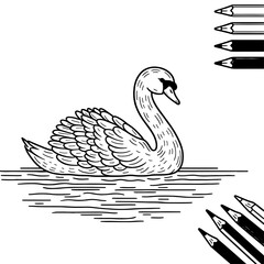 Elegant Swan Floating Gracefully on Calm Water Silhouette bird lake