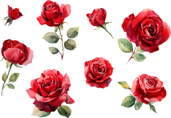 Fototapeta premium bouquet of red roses