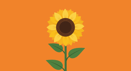 Vibrant sunflower illustration against a bright orange backdrop evoking summer cheerfulness with botanical simplicity and design, conveying a warm