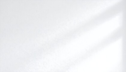 Obraz premium Soft light shadows on a plain wall