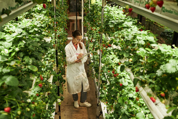 Caucasian woman wearing lab coat inspecting strawberry plants and taking notes on clipboard in...