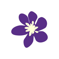 Wild and garden flowers, leaves. Modern vector botanical illustrations, hand drawn floral design elements