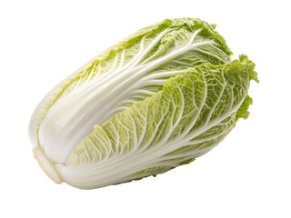 cabbage isolated on white background