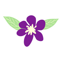 Wild and garden flowers, leaves. Modern vector botanical illustrations, hand drawn floral design elements