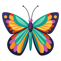 butterfly on white background