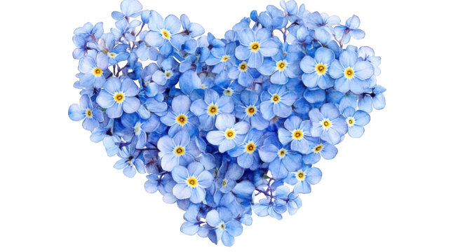 Romantic Watercolor Forget-Me-Nots Arranged in a Heart Shape.  Tender, Loving, and Sentimental Floral Design.