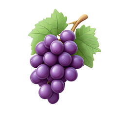 Fototapeta premium A bunch of purple grapes