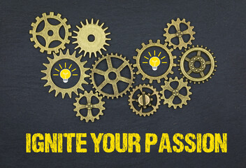 Ignite Your Passion	

