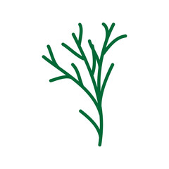 Wild and garden flowers, leaves. Modern vector botanical illustrations, hand drawn floral design elements