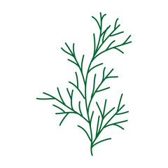Naklejka premium Wild and garden flowers, leaves. Modern vector botanical illustrations, hand drawn floral design elements