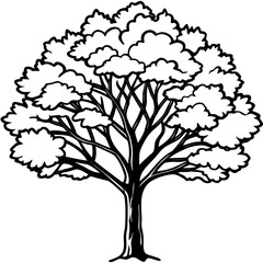 Black Gum line art vector