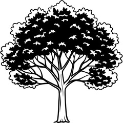 Black Gum line art vector