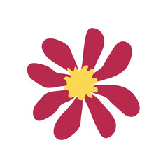 Wild and garden flowers, leaves. Modern vector botanical illustrations, hand drawn floral design elements