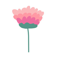 Wild and garden flowers, leaves. Modern vector botanical illustrations, hand drawn floral design elements