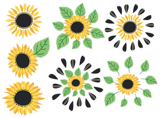 Wild and garden flowers, leaves. Modern vector botanical illustrations, hand drawn floral design elements