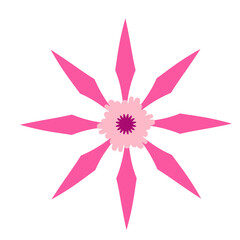 Wild and garden flowers, leaves. Modern vector botanical illustrations, hand drawn floral design elements