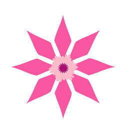 Wild and garden flowers, leaves. Modern vector botanical illustrations, hand drawn floral design elements