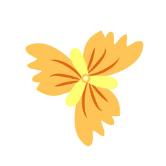 Wild and garden flowers, leaves. Modern vector botanical illustrations, hand drawn floral design elements