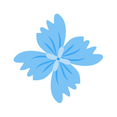 Wild and garden flowers, leaves. Modern vector botanical illustrations, hand drawn floral design elements