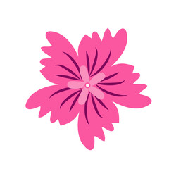 Fototapeta premium Wild and garden flowers, leaves. Modern vector botanical illustrations, hand drawn floral design elements