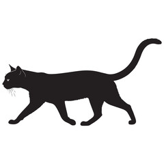 Fototapeta premium black cat silhouette