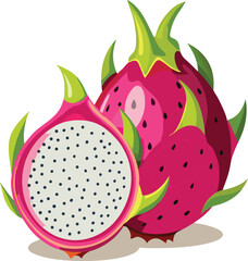 Two Dragon Fruit Illustration
