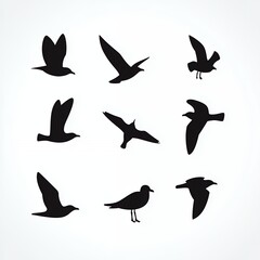 Fototapeta premium Seagull Silhouettes Create Striking Black Shadow Art Display